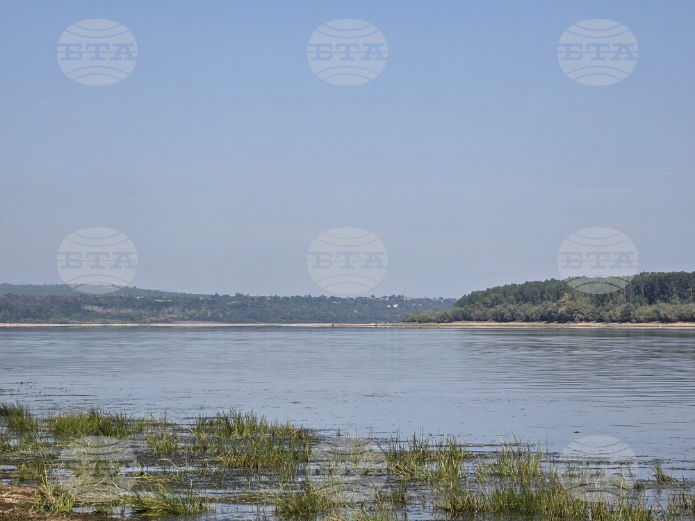 Село Гомотарци - река Дунав - ниво