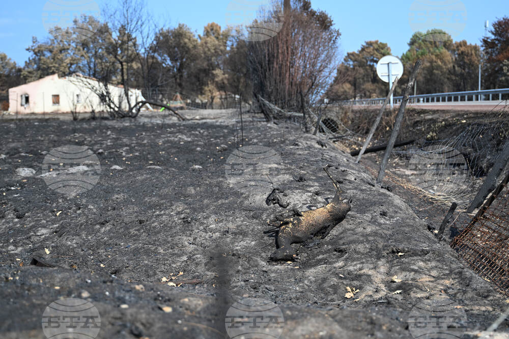 France Wildfires