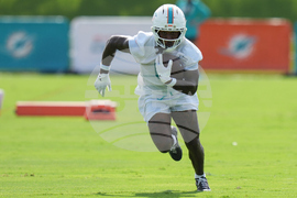 Dolphins Camp Football
