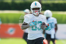 Dolphins Camp Football