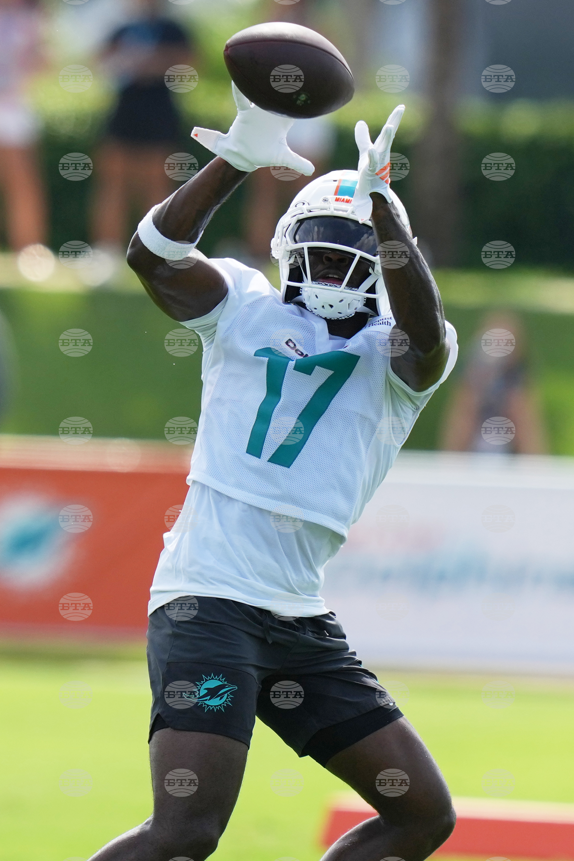 Dolphins Camp Football