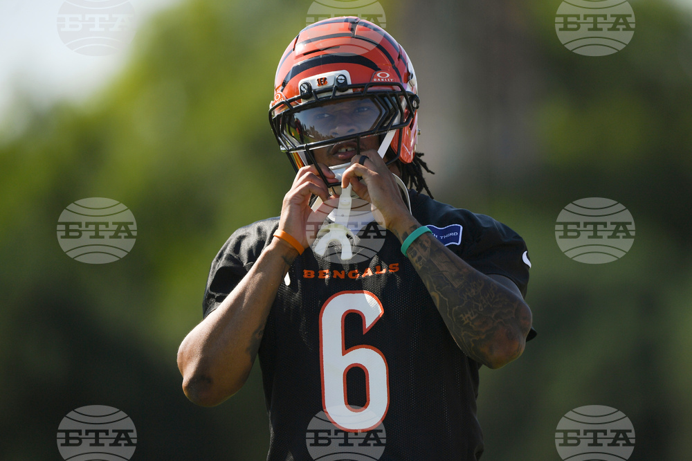 Bengals Camp Football