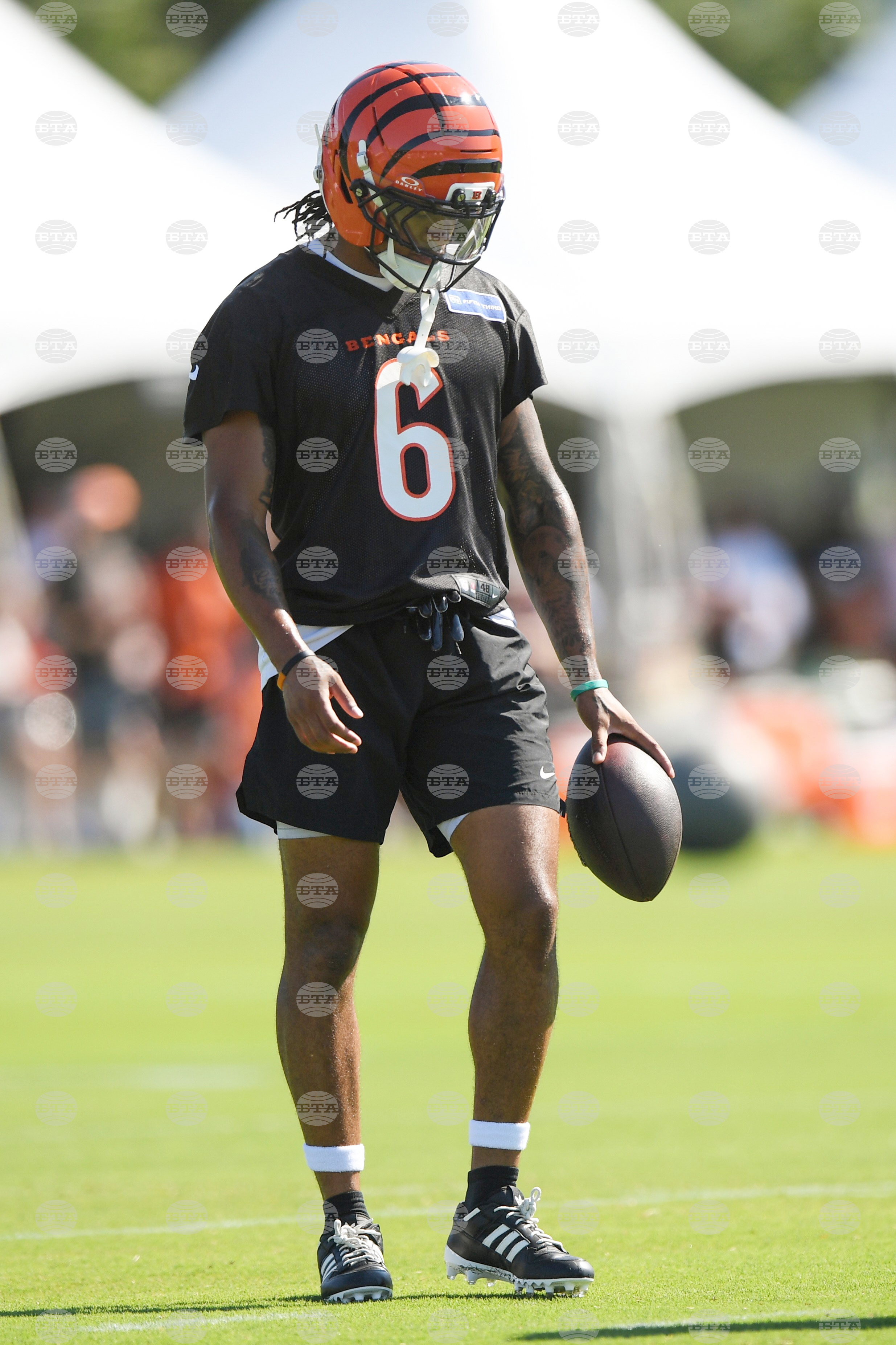 Bengals Camp Football