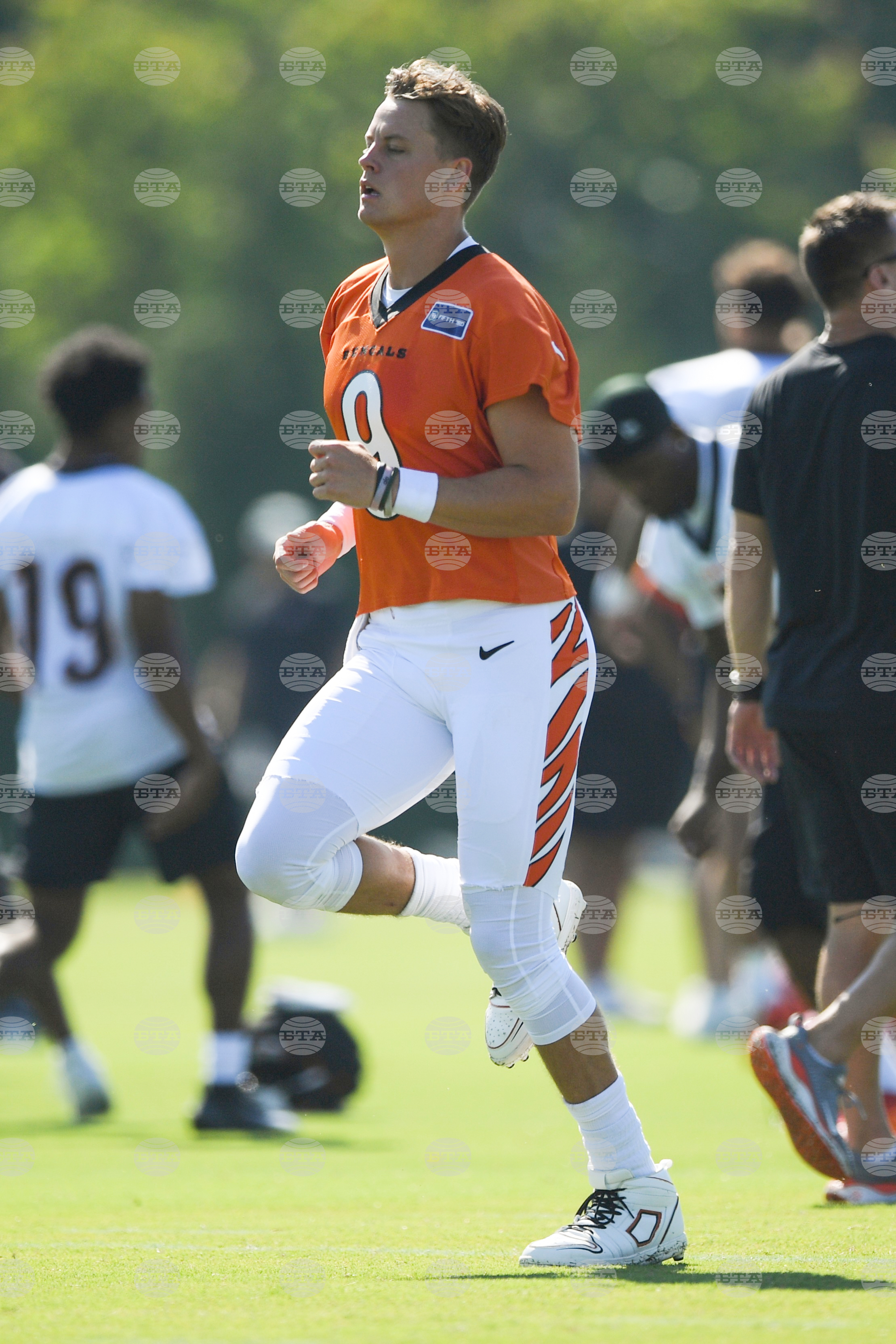 Bengals Camp Football