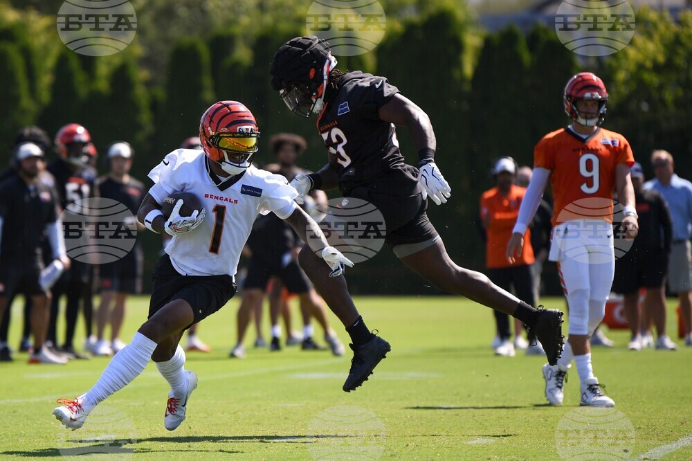 Bengals Camp Football