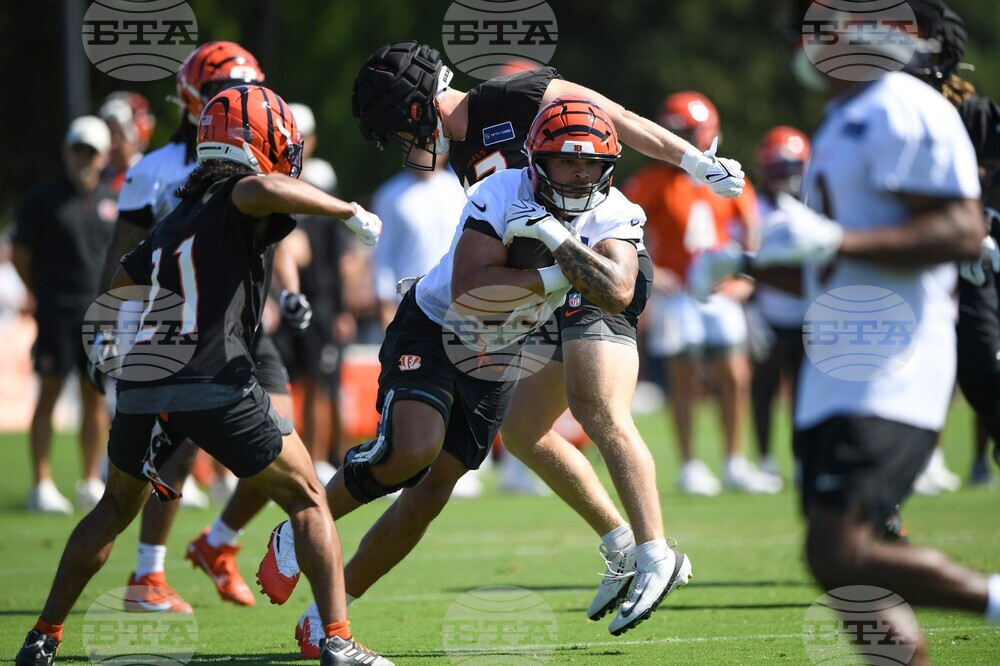 Bengals Camp Football