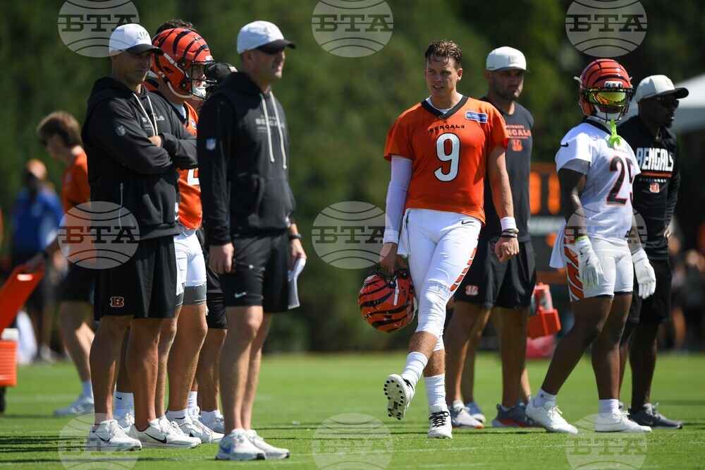 Bengals Camp Football