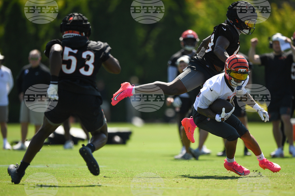 Bengals Camp Football