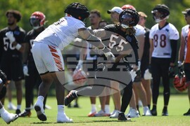 Bengals Camp Football
