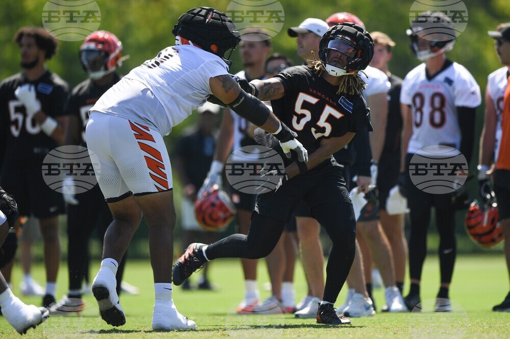 Bengals Camp Football