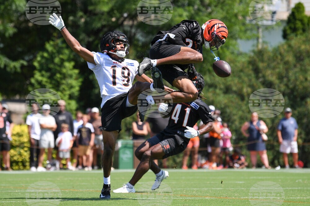 APTOPIX Bengals Camp Football