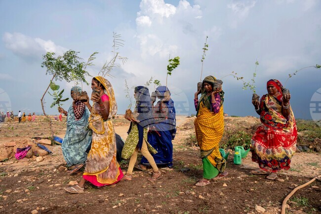 APTOPIX India Planting Trees