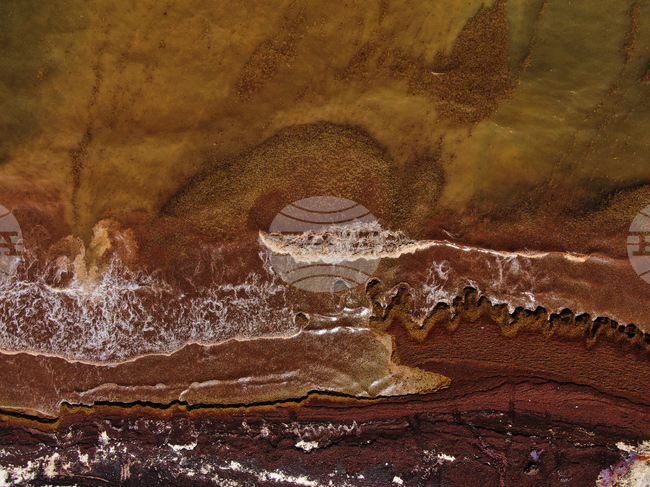 APTOPIX Mexico Sargassum