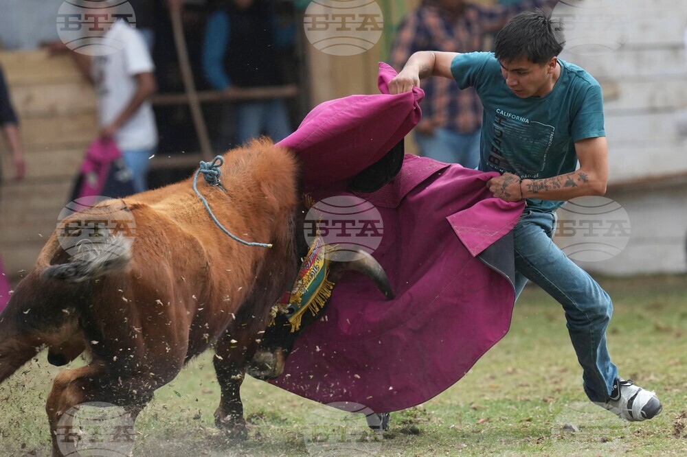 Ecuador Bullfighting