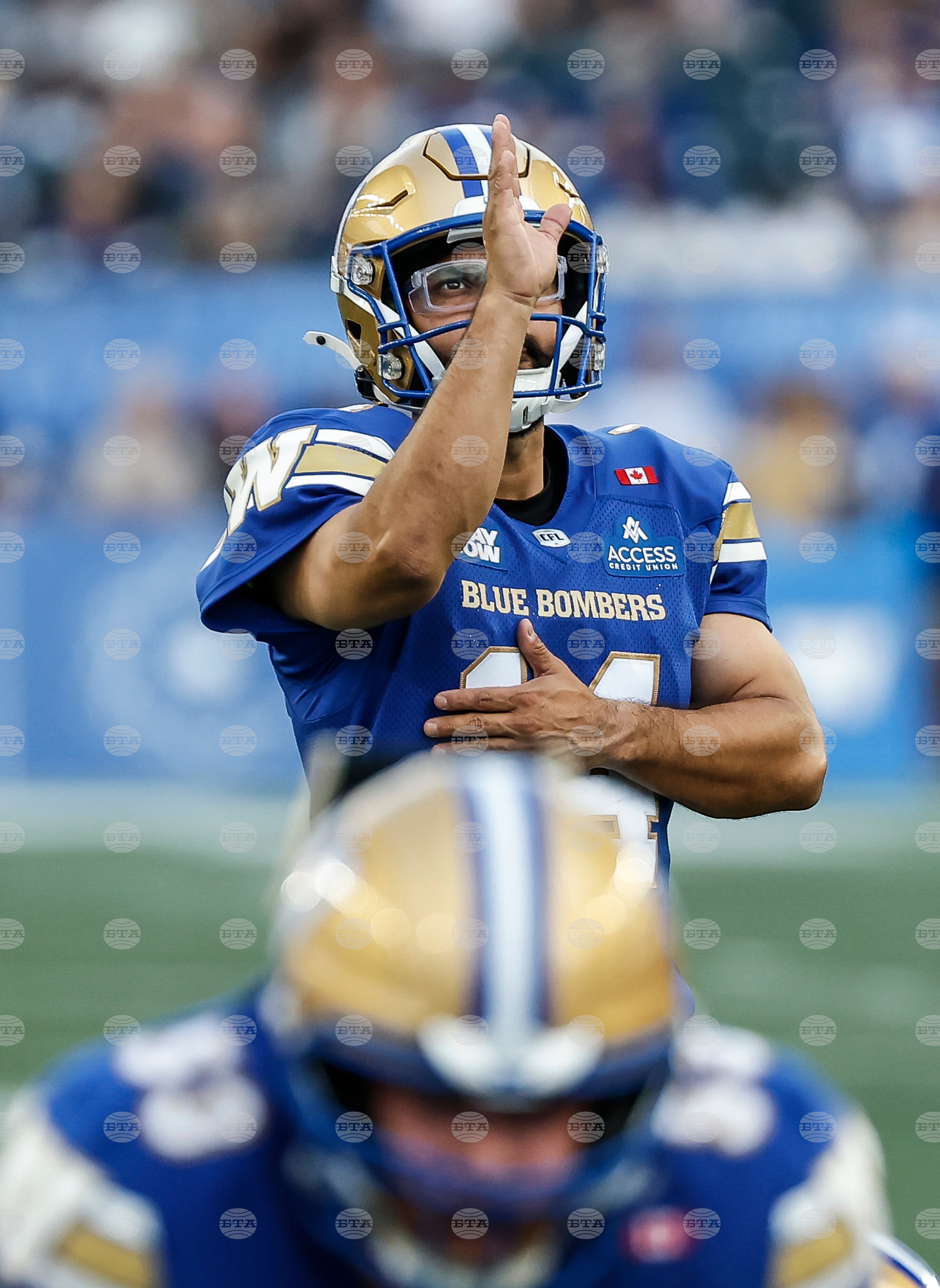 CFL Lions Blue Bombers Football