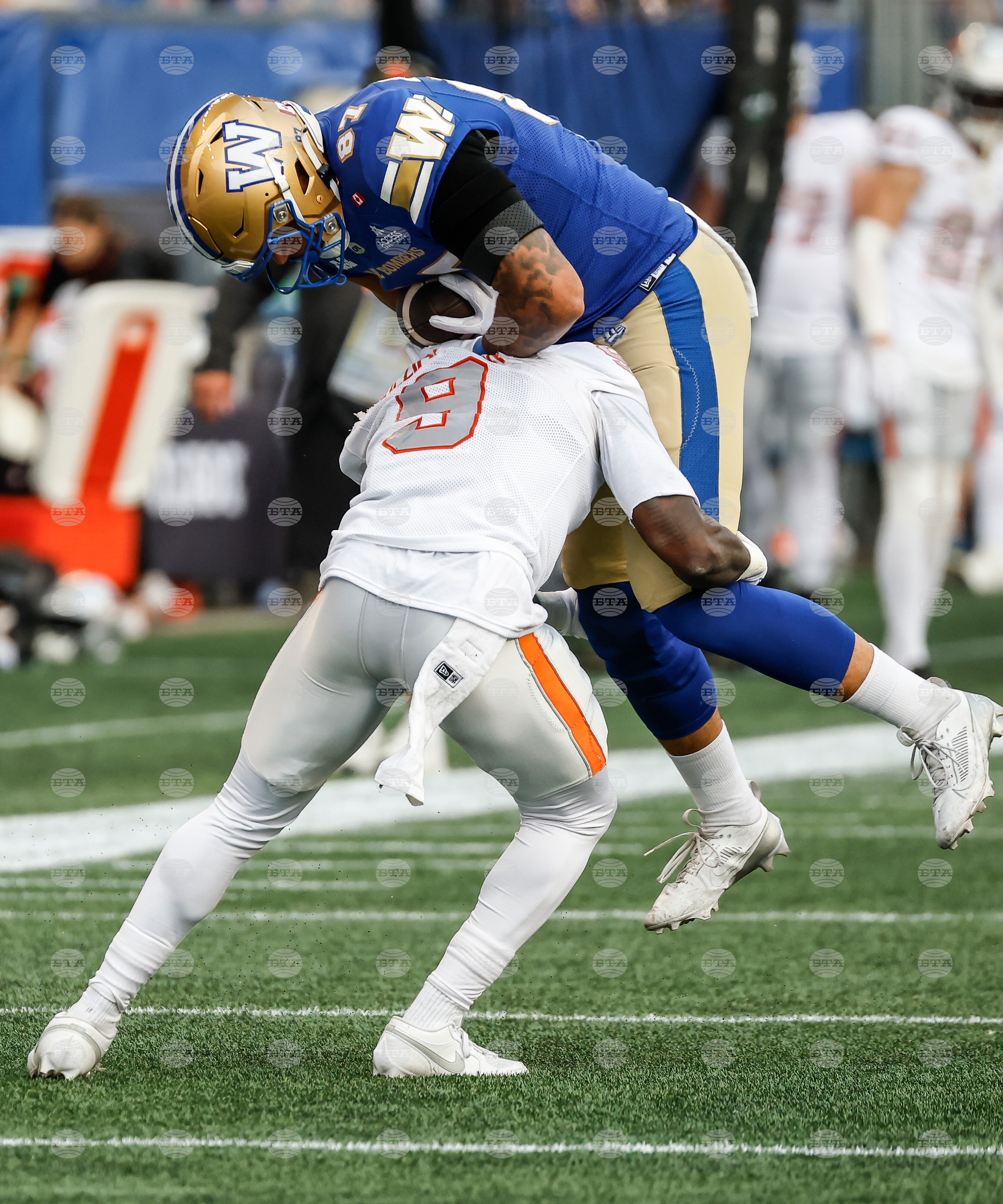 CFL Lions Blue Bombers Football