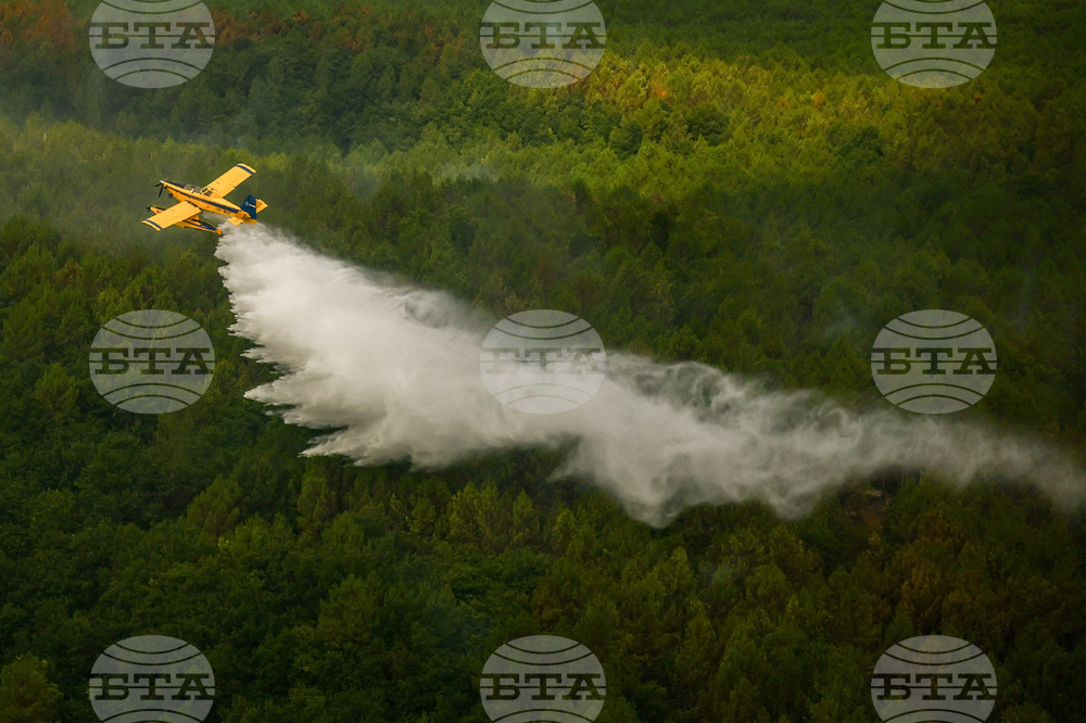 France Wildfires