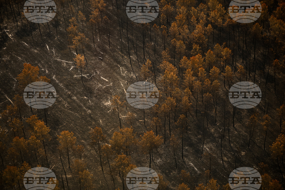 France Wildfires