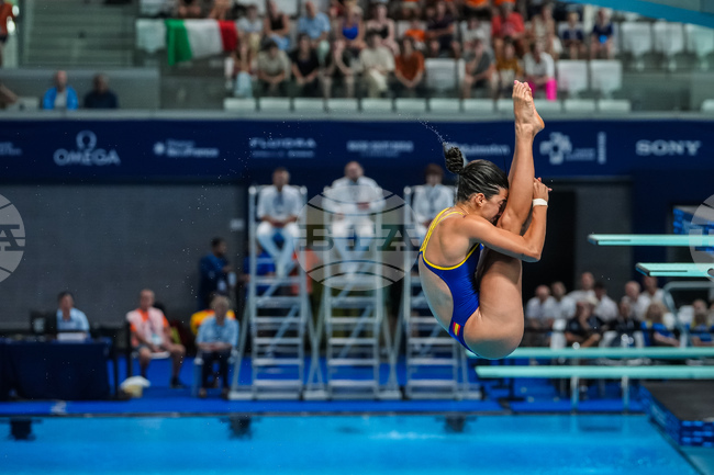 France Swimming Championships
