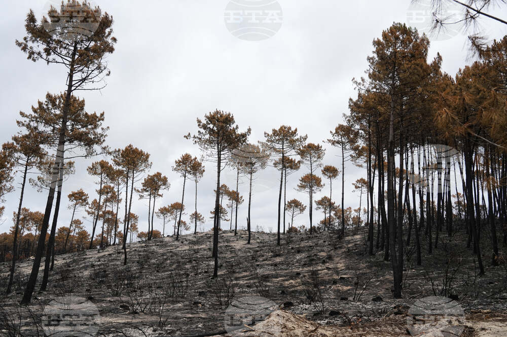 France Wildfires