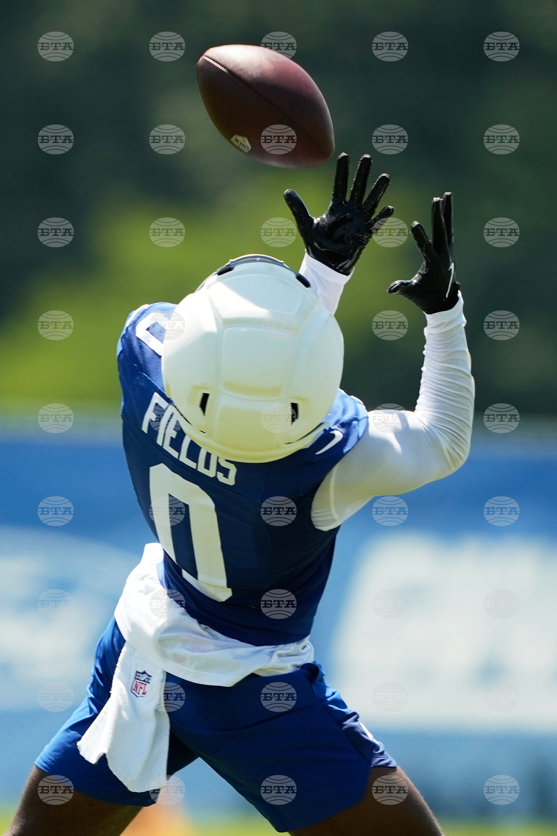 Giants Football