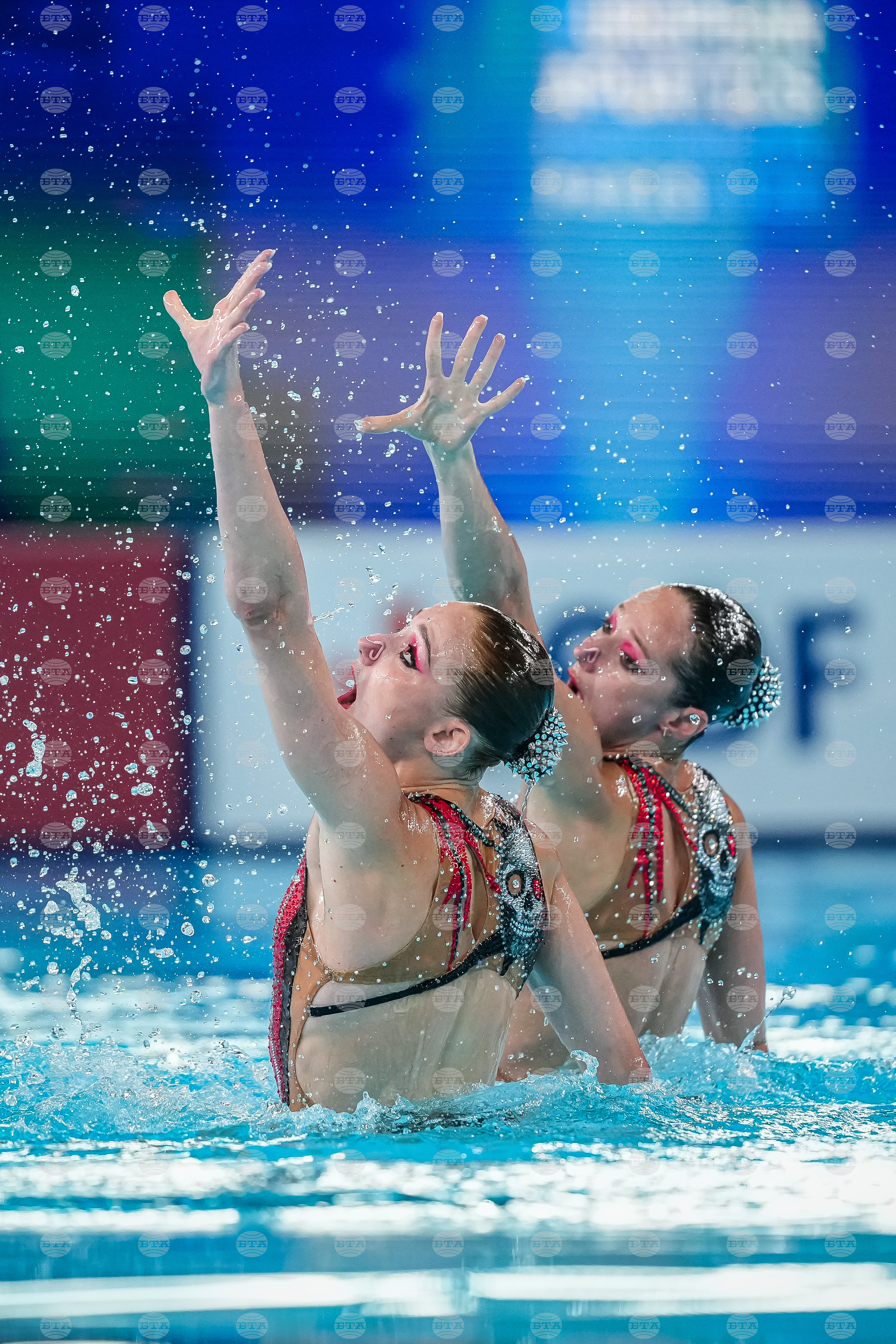 France Swimming Championships
