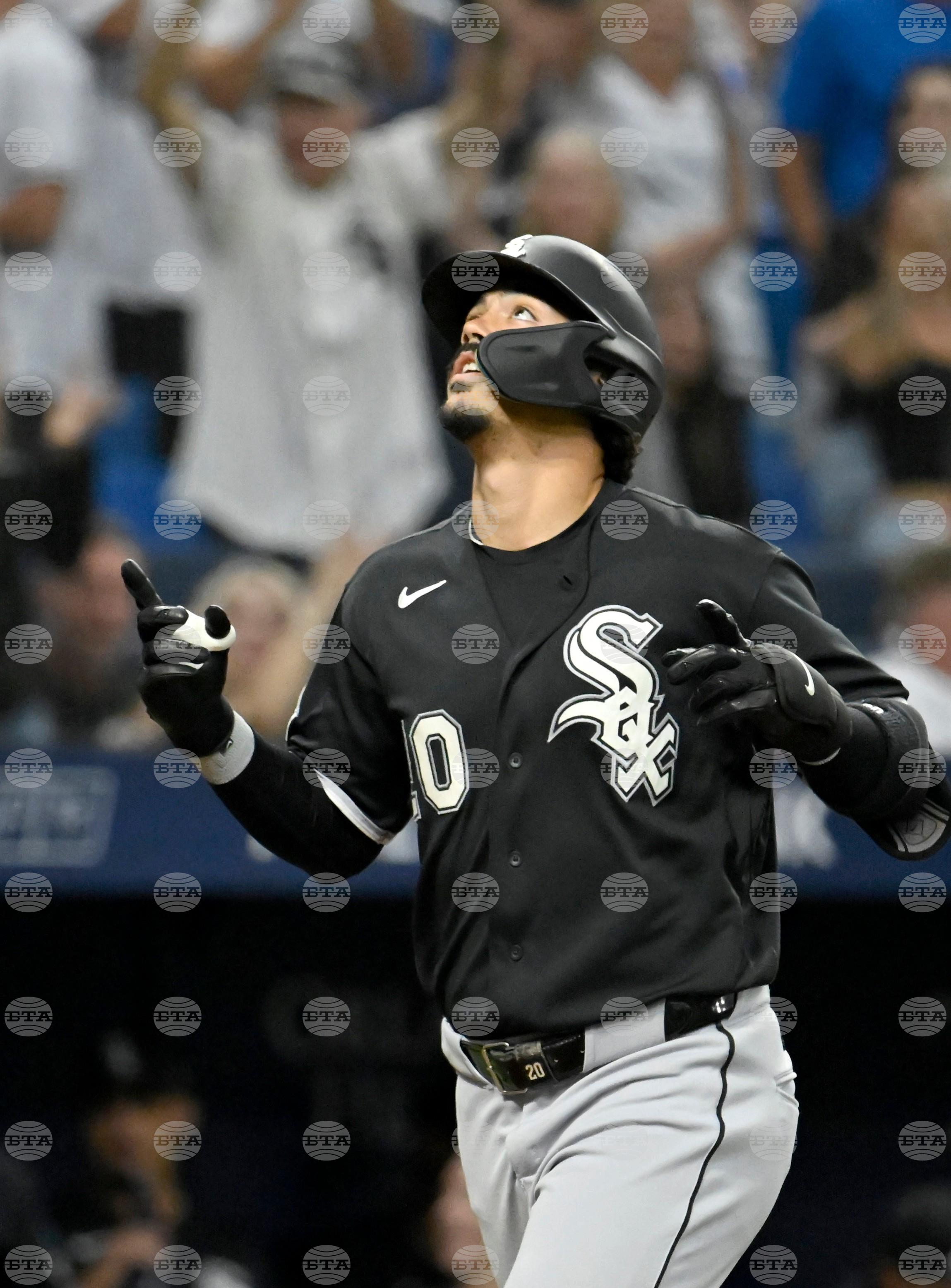 White Sox Rays Baseball