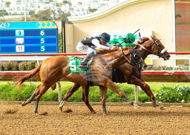 Del Mar Horse Racing