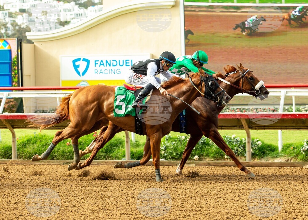 Del Mar Horse Racing