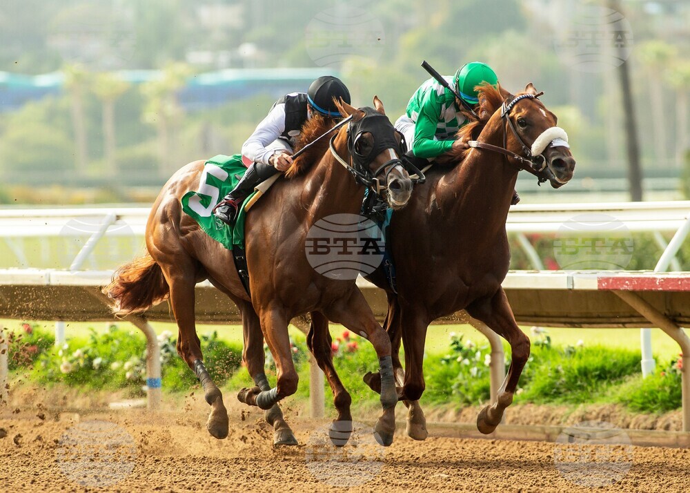 Del Mar Horse Racing