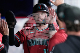 Diamondback Guardians Baseball