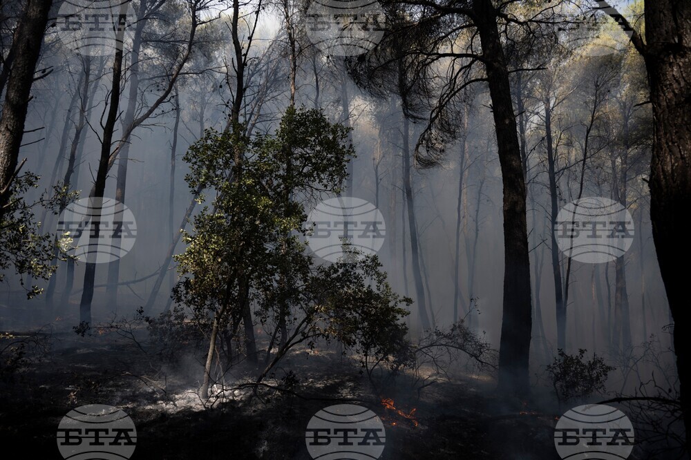 Greece Wildfires