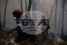 Greece Wildfires