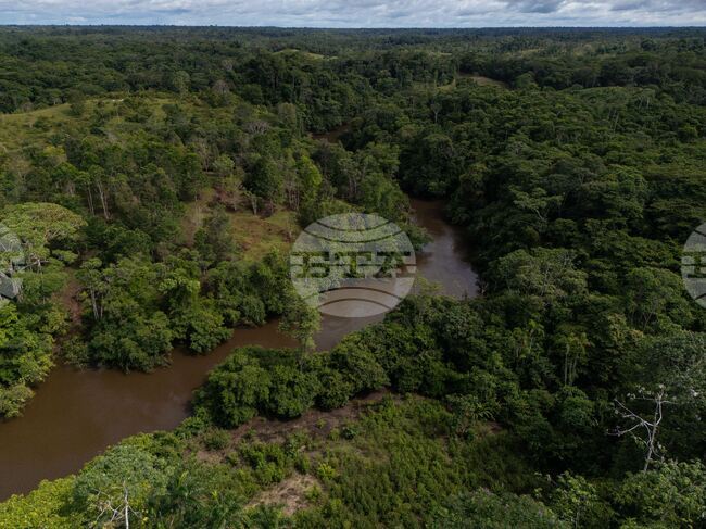 Colombia Deforestation Report