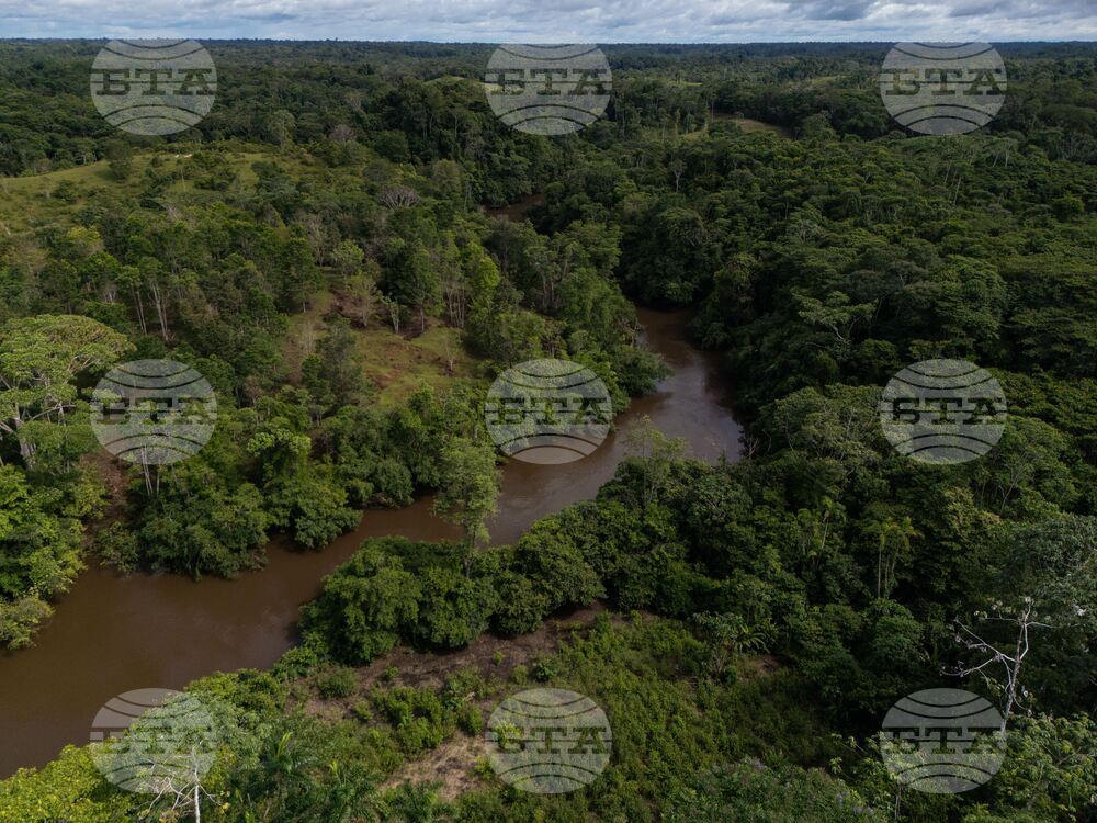 Colombia Deforestation Report