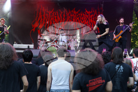 Within Destruction - концерт