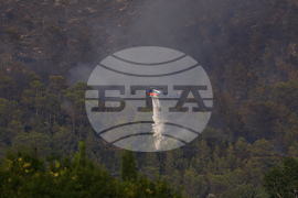 France Wildfires