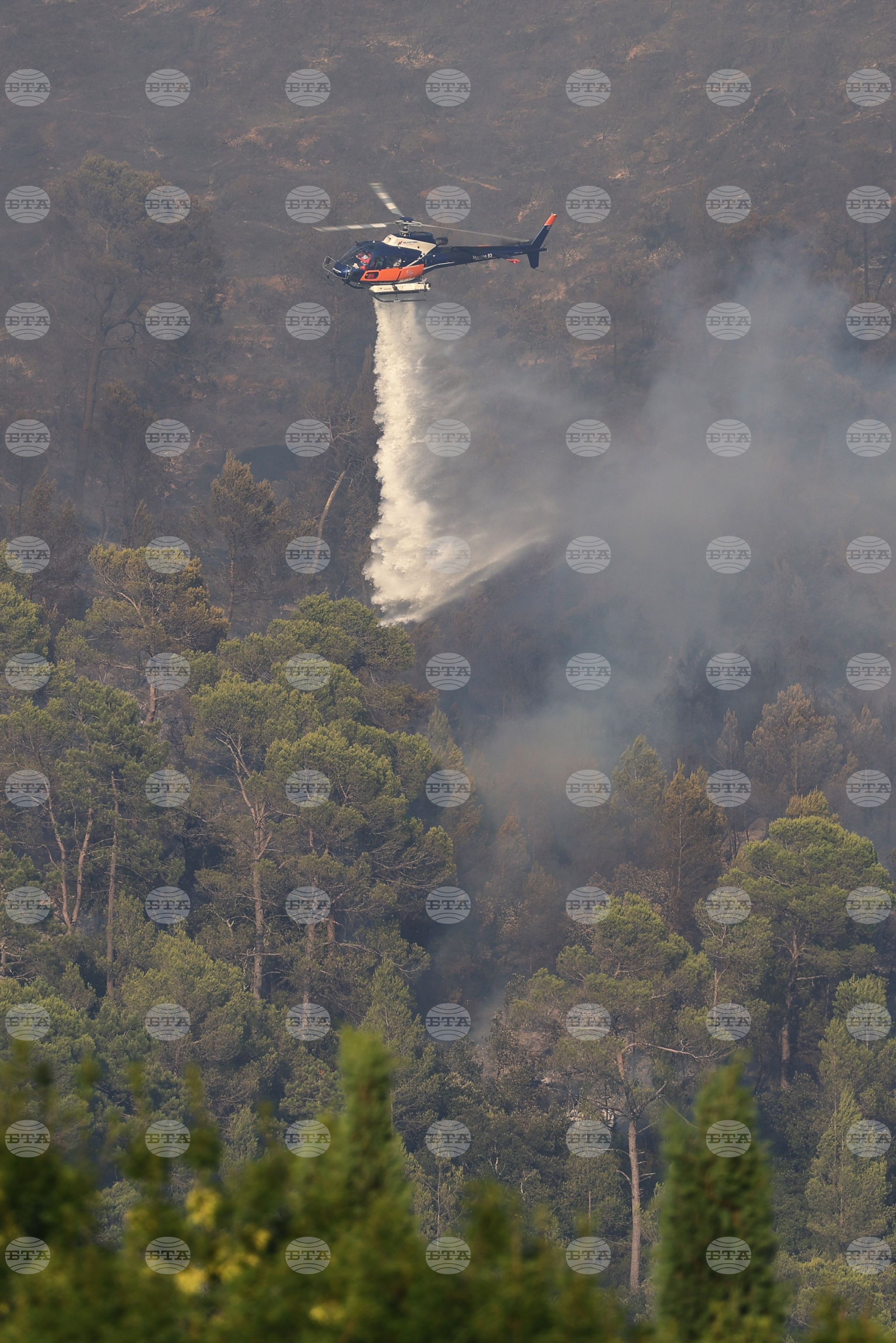 France Wildfires