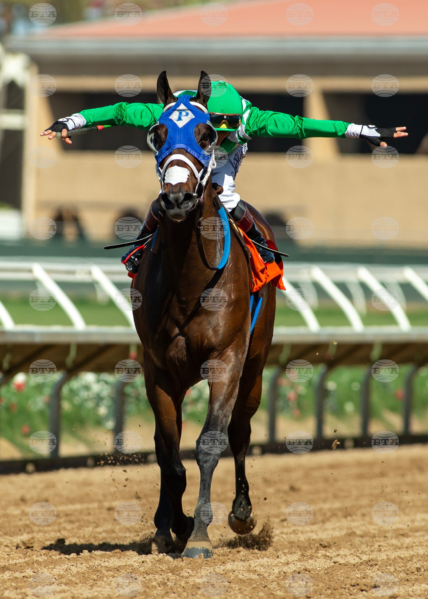 Del Mar Horse Racing