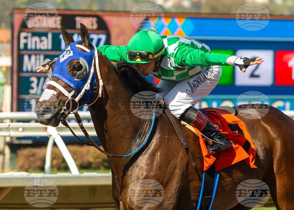 Del Mar Horse Racing