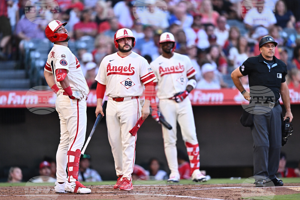 Brewers Angels Baseball