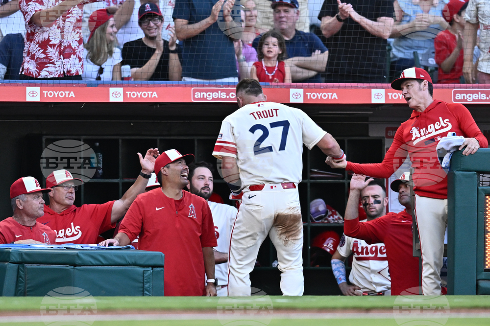 Brewers Angels Baseball