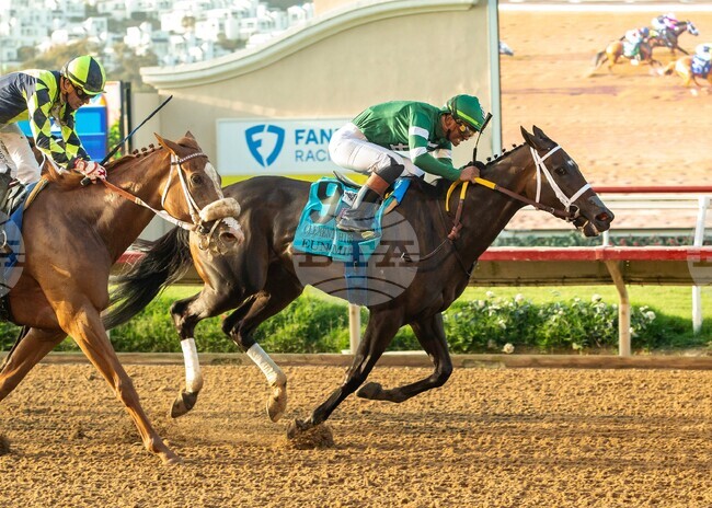 Del Mar Horse Racing
