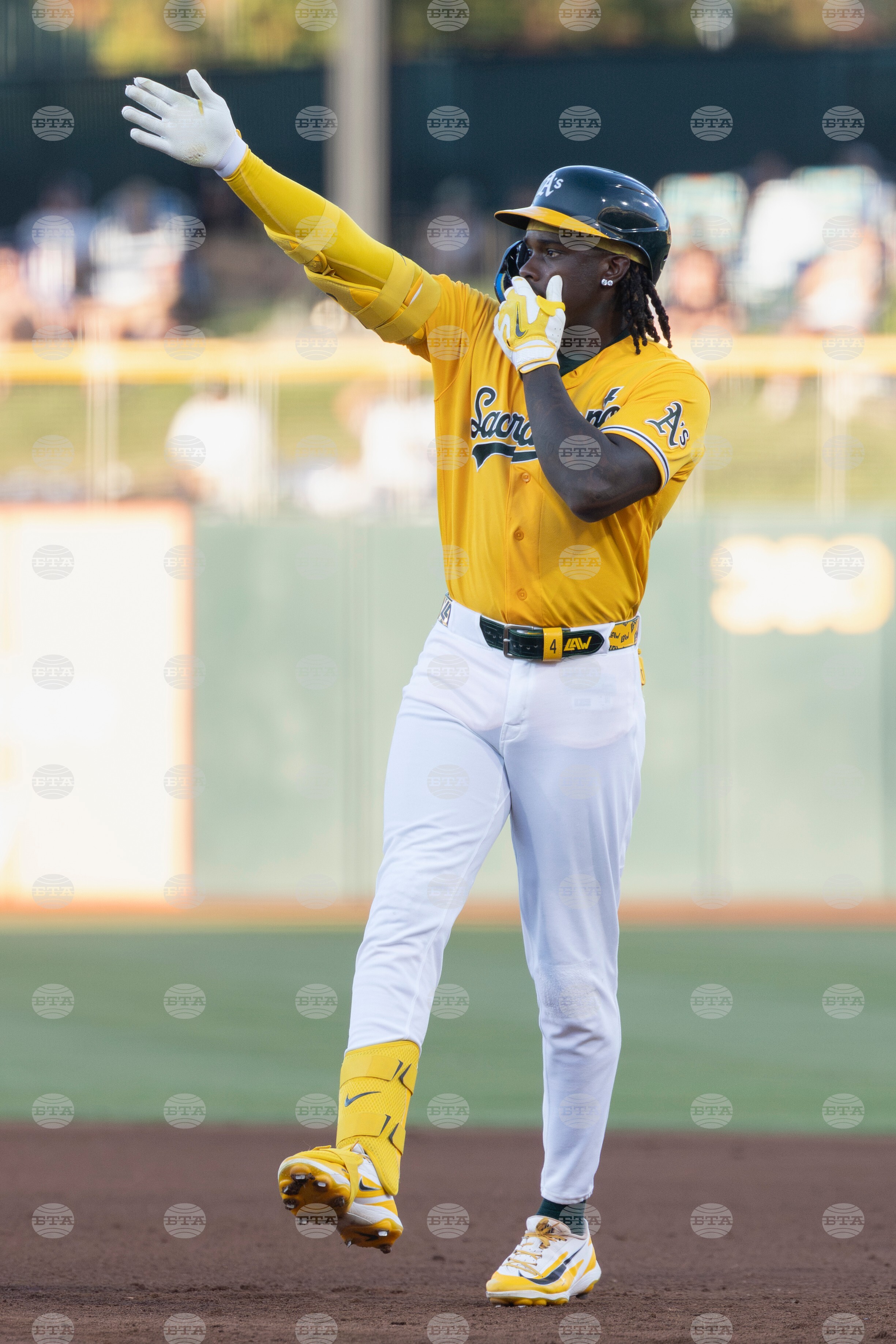 Tigers Athletics Baseball