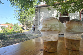 Мизия - молебен за здраве