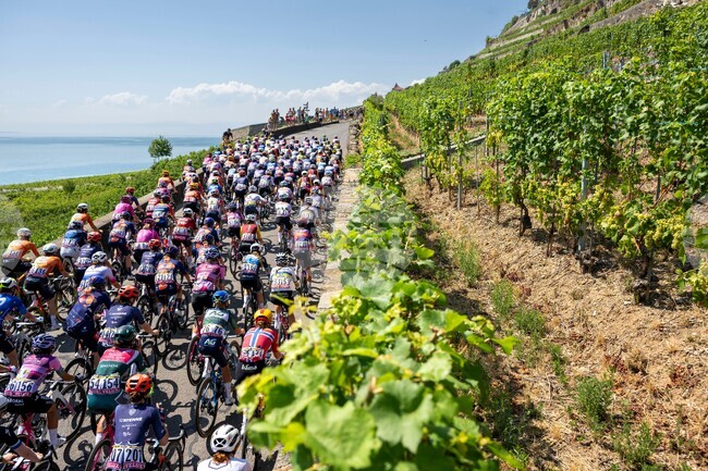 Tour de France Cycling