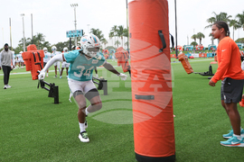 Dolphins Camp Football