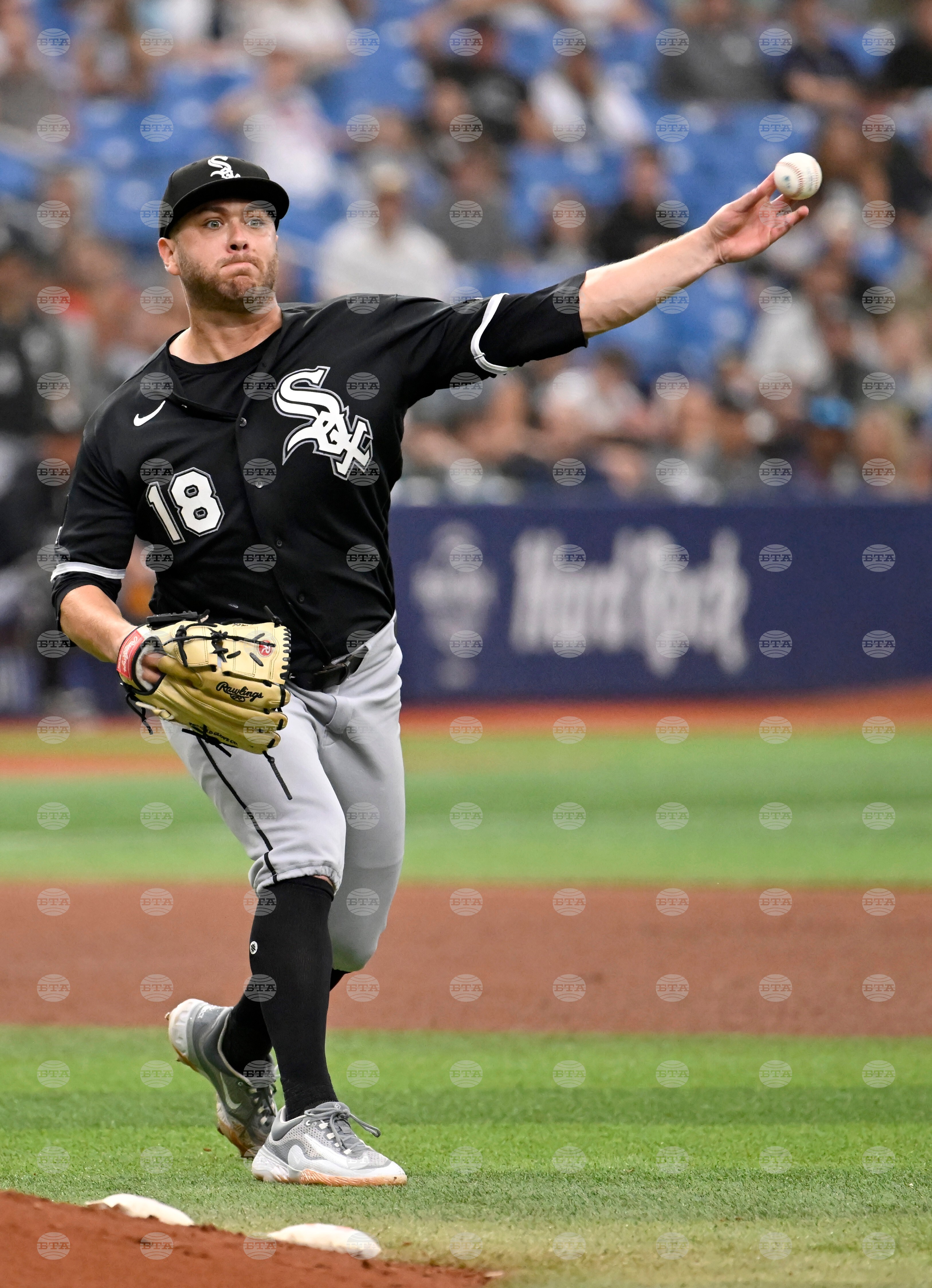 White Sox Rays Baseball