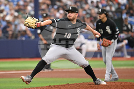 White Sox Rays Baseball