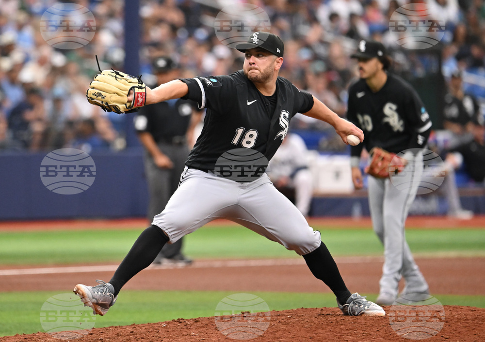 White Sox Rays Baseball
